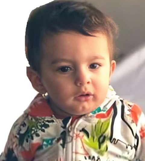 حمزه زرینی